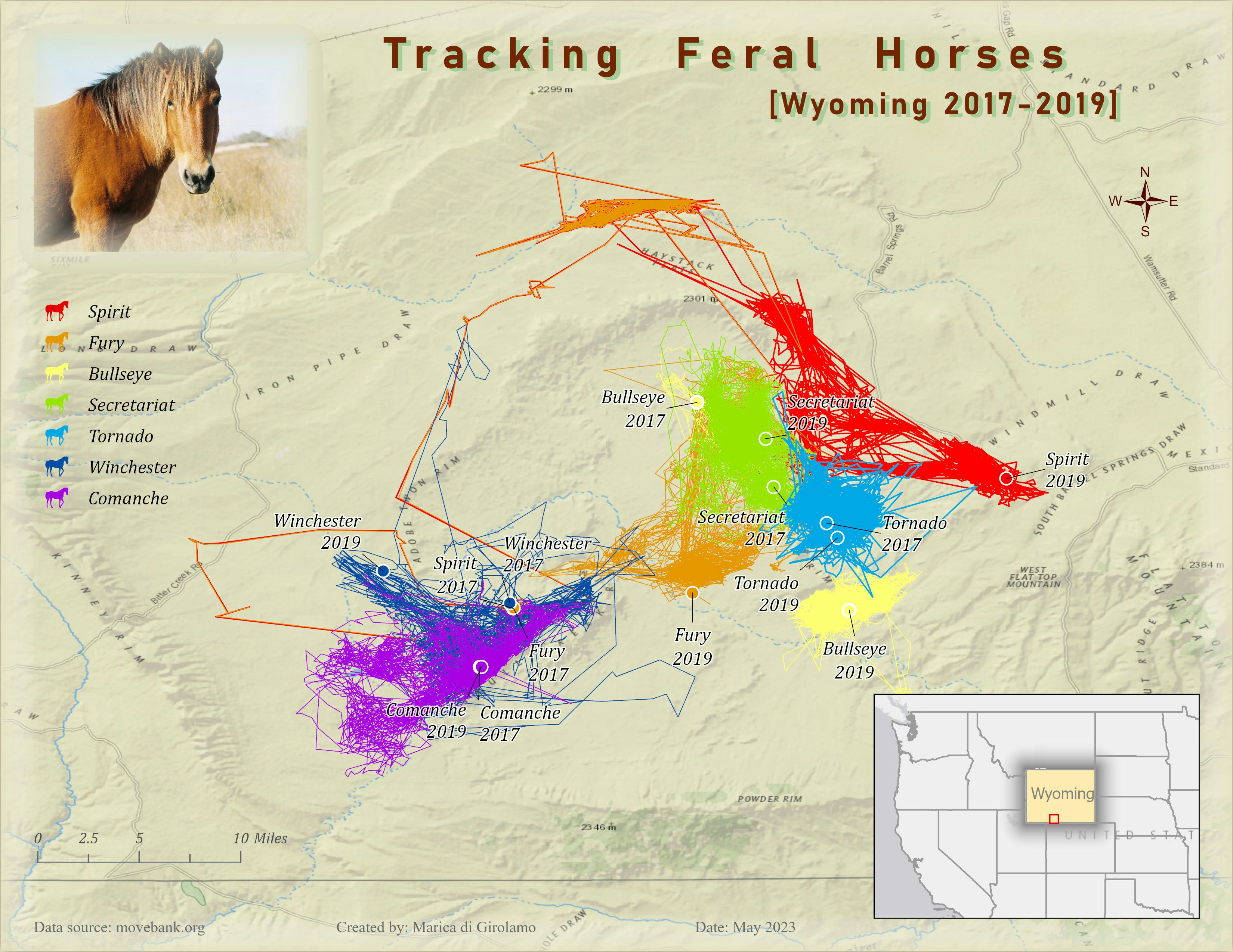 Tracking Feral Horses