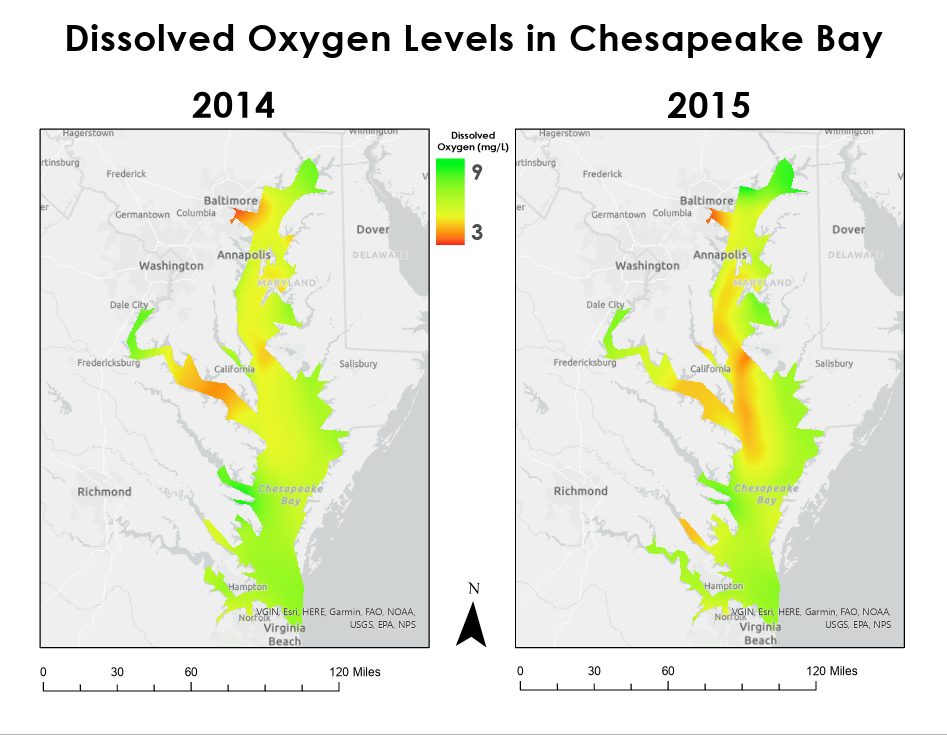 Dissolved Oxygen in The Chesapeake Bay