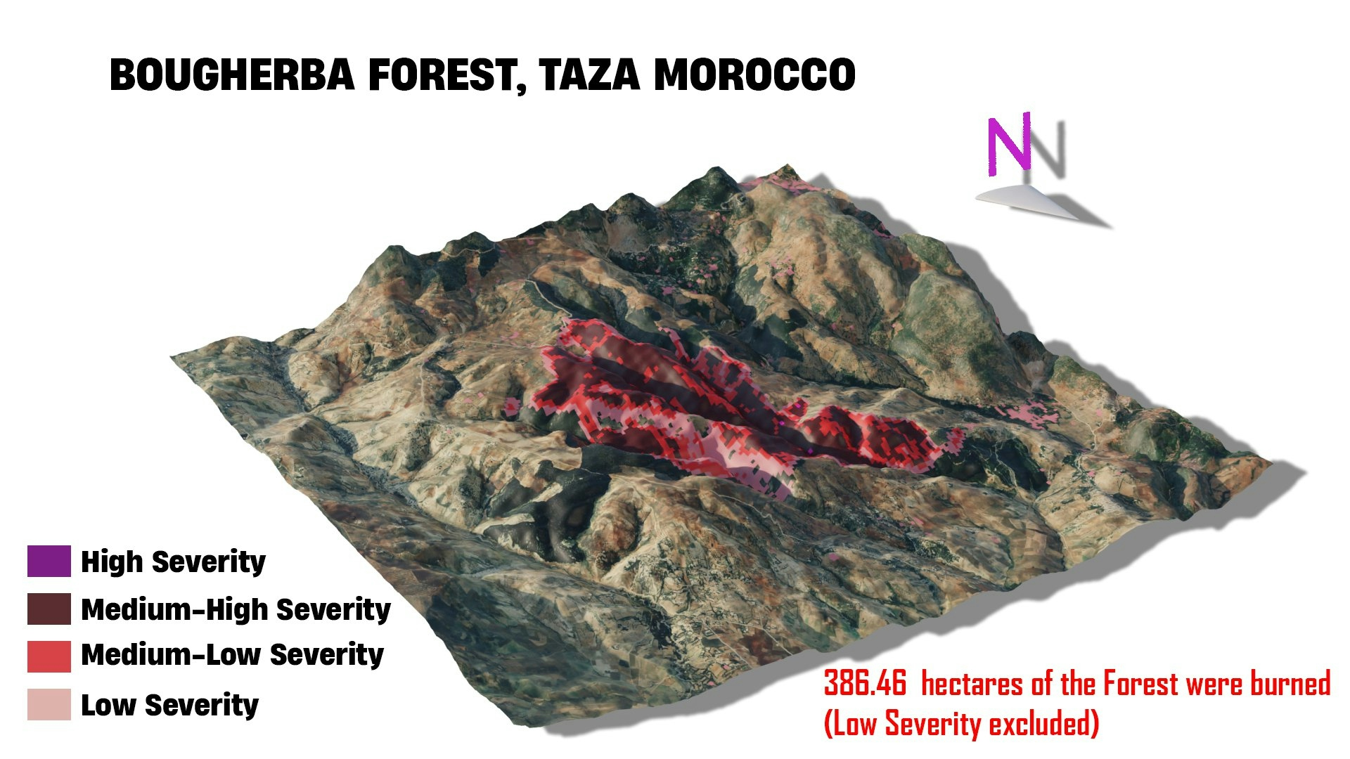 Bougherba, Taza Forest Fire